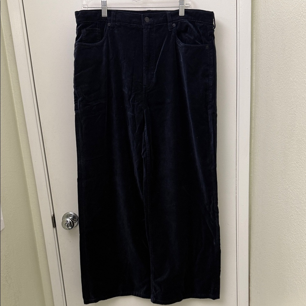 NWT Banana Republic Navy Velvet Wide Leg Trousers Size 33